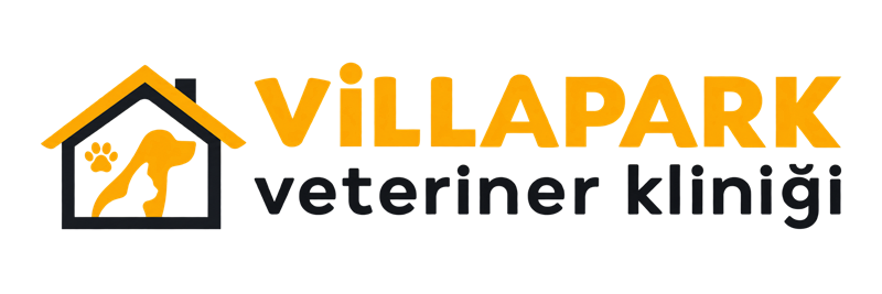 VillaPark Veteriner Kliniği Web Tasarım ve SEO Projesi - Merkez 360